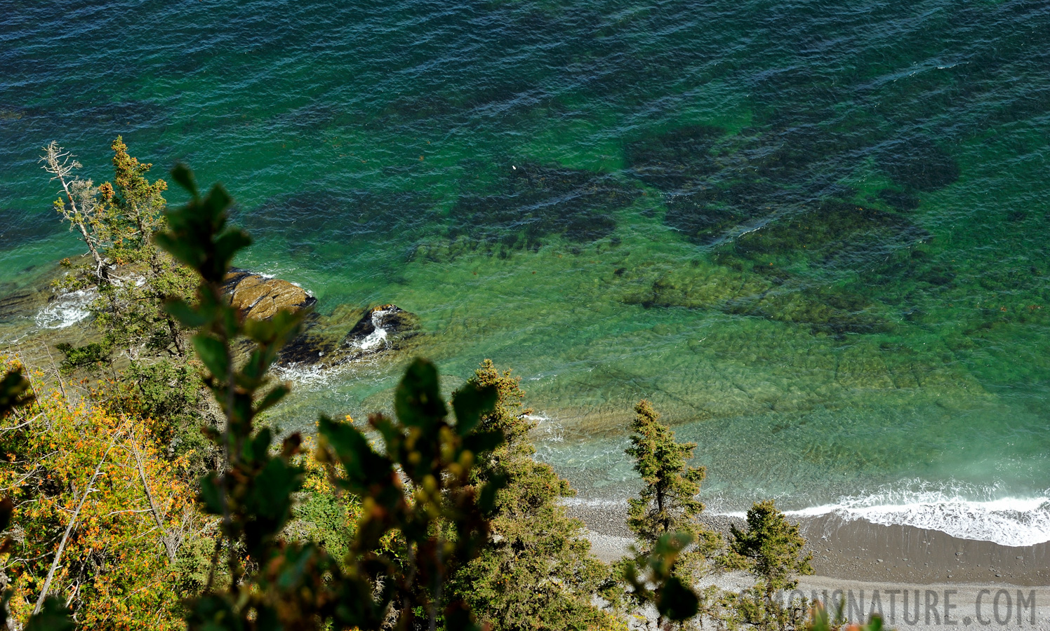 Parc National Forillon [82 mm, 1/400 sec at f / 8.0, ISO 400]